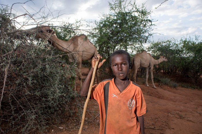 Lchekutis, Maasai Child Shepherds